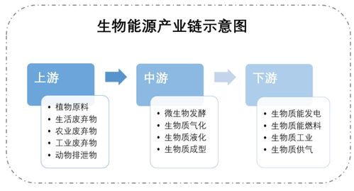 合成生物技術(shù)多維賦能能源領(lǐng)域 專訪合成生物學(xué)競賽評委呂雪峰